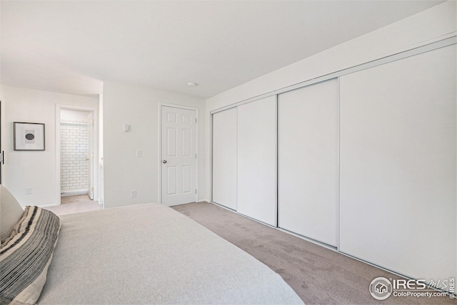 bedroom featuring carpet floors and a closet