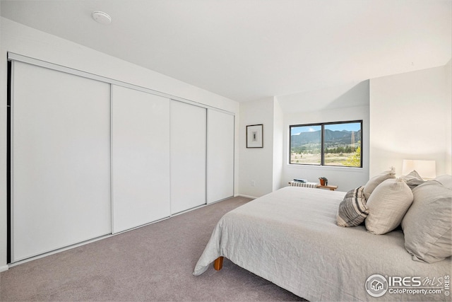 carpeted bedroom featuring a closet