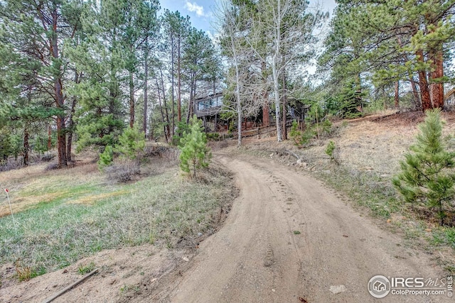 view of road with driveway