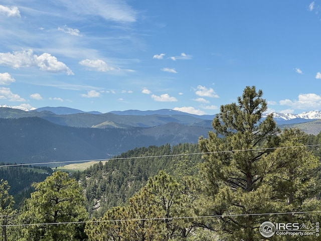 view of mountain feature featuring a view of trees
