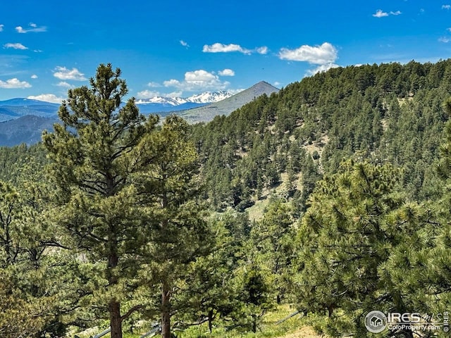 view of mountain feature featuring a view of trees