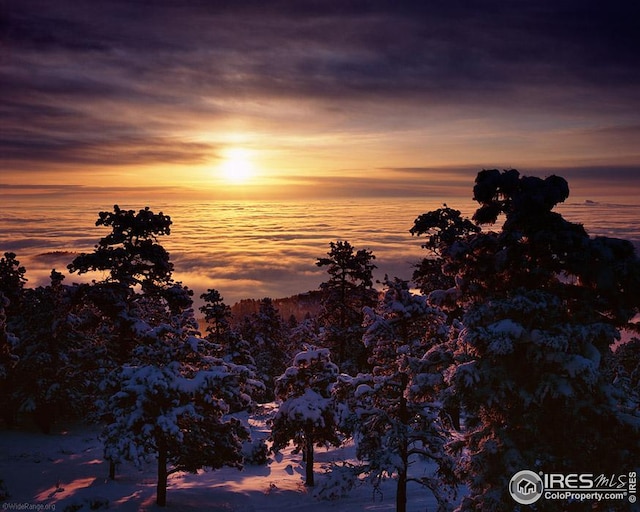 view of nature at dusk