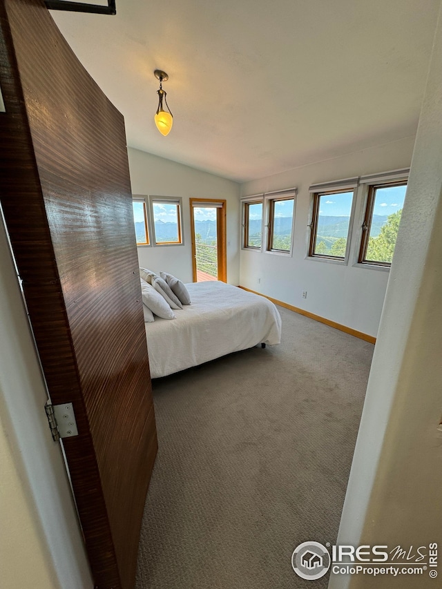 bedroom featuring baseboards, carpet, and vaulted ceiling