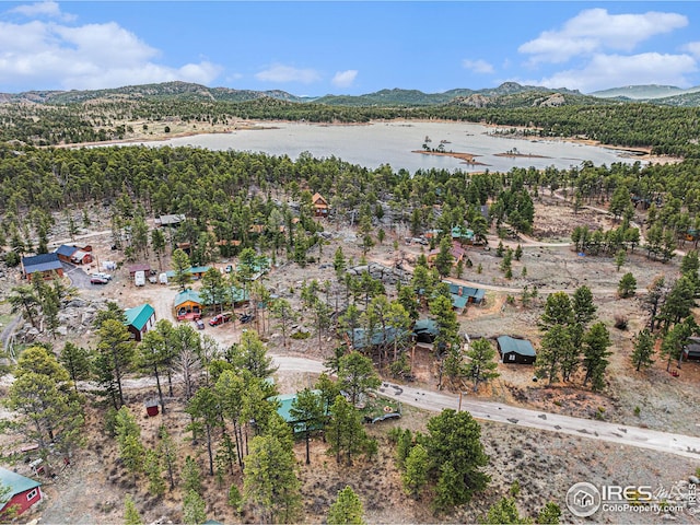 drone / aerial view with a water and mountain view