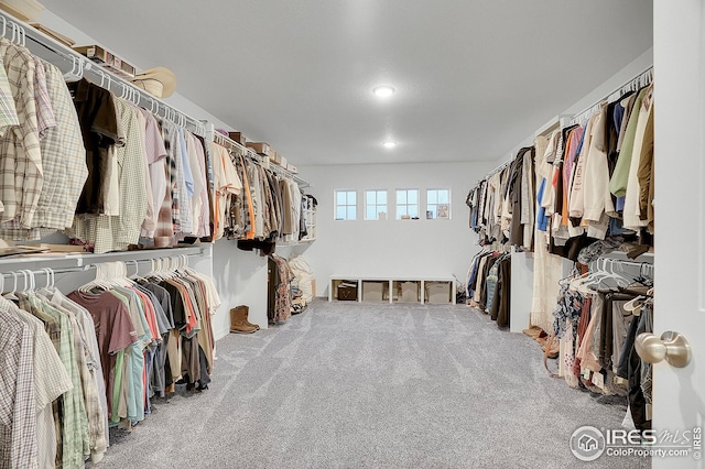 spacious closet with carpet