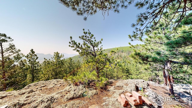 76 Cairn Ct, Drake, CO 80515 - mountain view with a forest view