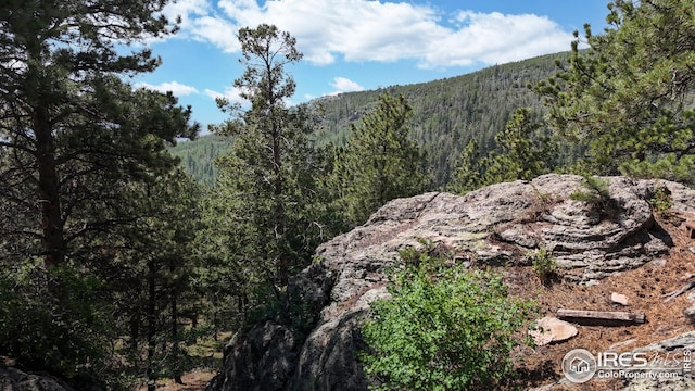 76 Cairn Ct, Drake, CO 80515 - property view of mountains featuring a forest view