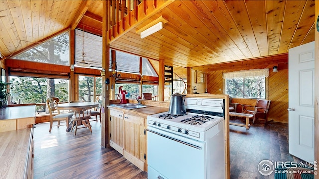 76 Cairn Ct, Drake, CO 80515 - kitchen featuring white gas range oven, dark wood-style floors, wooden walls, wood ceiling, and a sink