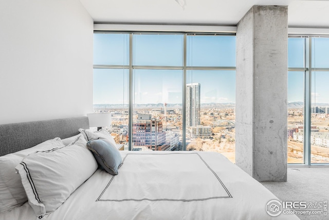1700 Bassett St Unit 1808, Denver, CO 80202 - carpeted bedroom featuring a view of city and expansive windows