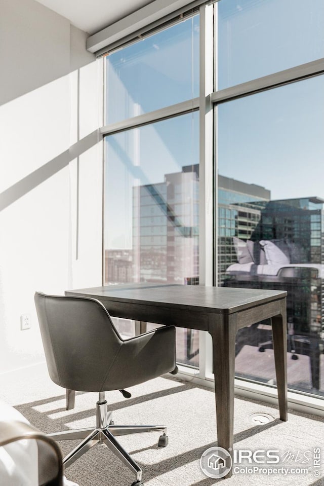 1700 Bassett St Unit 1808, Denver, CO 80202 - interior space