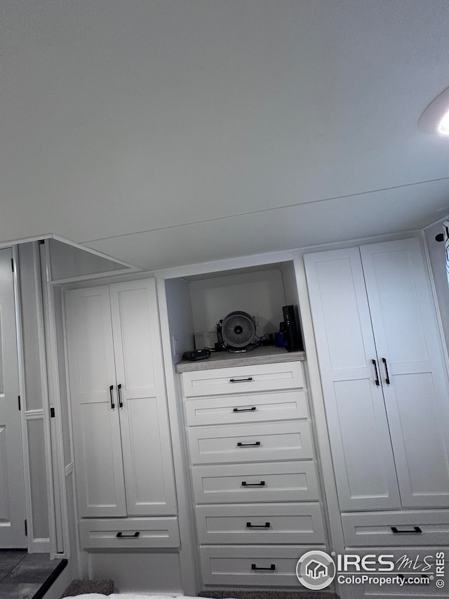view of closet