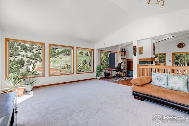 carpeted living room featuring track lighting, baseboards, and lofted ceiling