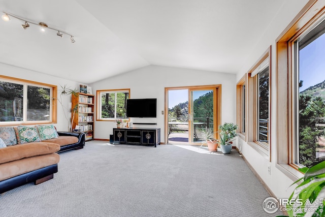carpeted living room featuring track lighting, baseboards, and vaulted ceiling