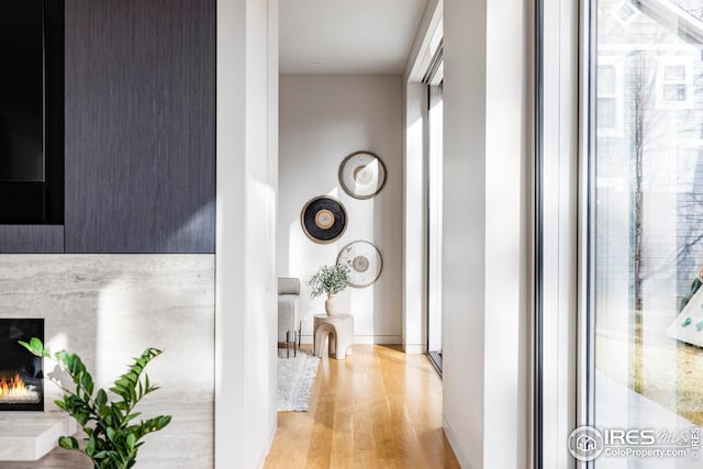 corridor featuring wood finished floors