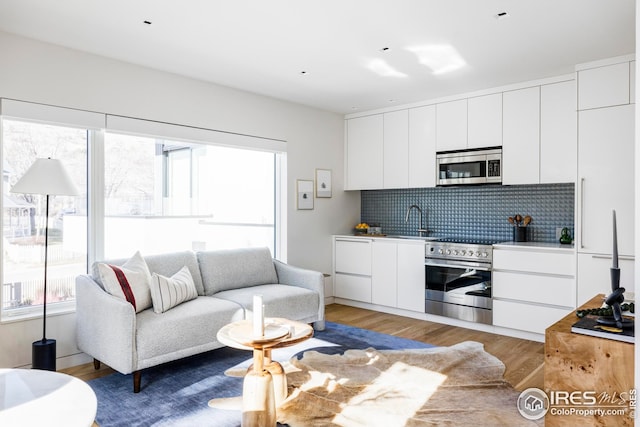 living room with light wood-style flooring