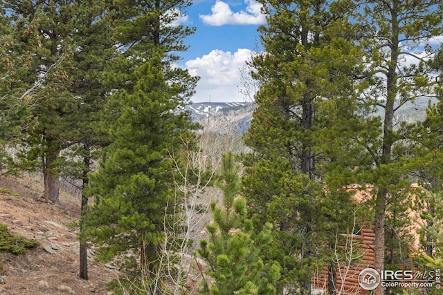 view of mountain feature