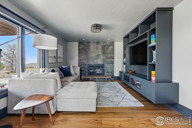 living room featuring wood finished floors and a fireplace