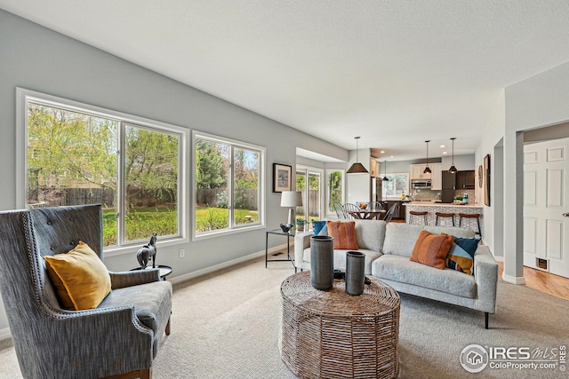 living area featuring baseboards and light colored carpet