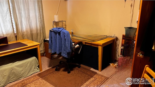 view of carpeted home office