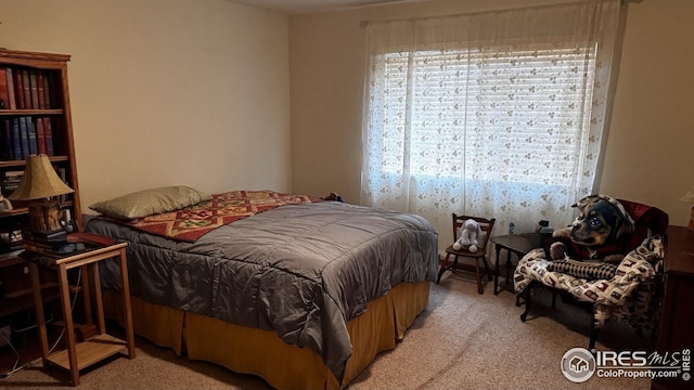 bedroom with light colored carpet