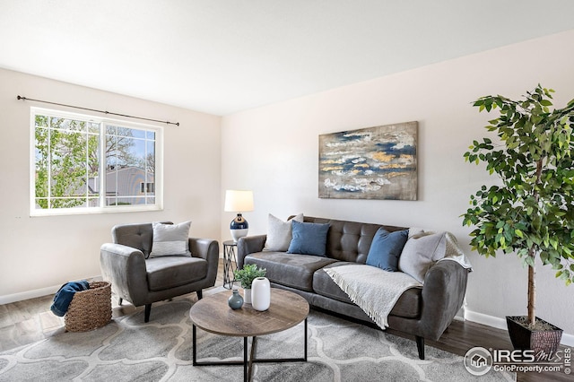 living room featuring baseboards and wood finished floors
