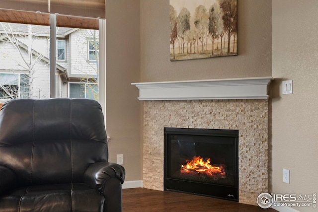 interior space featuring baseboards, a stone fireplace, and wood finished floors
