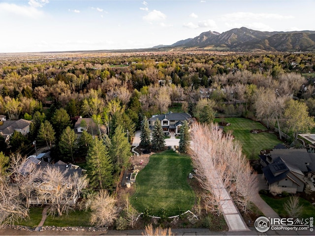 birds eye view of property featuring a mountain view