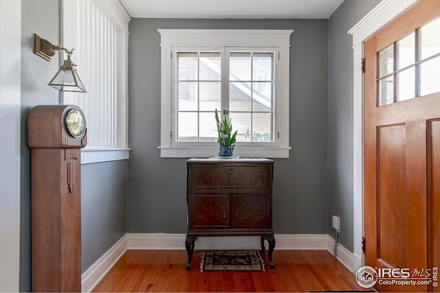 entryway featuring plenty of natural light, baseboards, and wood finished floors
