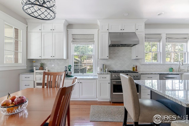 kitchen with light wood-style floors, appliances with stainless steel finishes, white cabinets, and under cabinet range hood