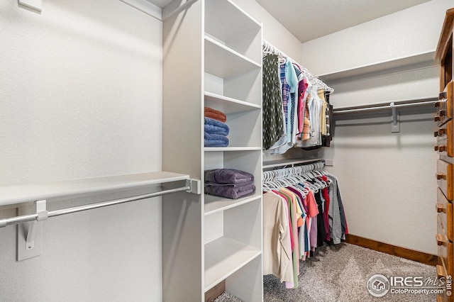 walk in closet featuring carpet floors
