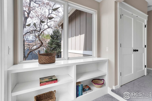 details with carpet floors and baseboards