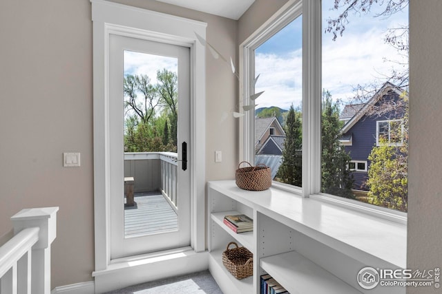 entryway with a healthy amount of sunlight