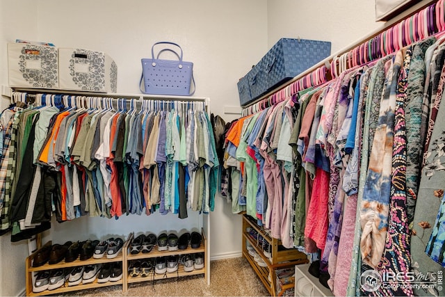 walk in closet featuring carpet floors