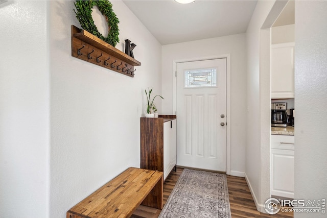 8596 Seattle Slew Ln, Wellington, CO 80549 - doorway to outside with baseboards and dark wood-type flooring