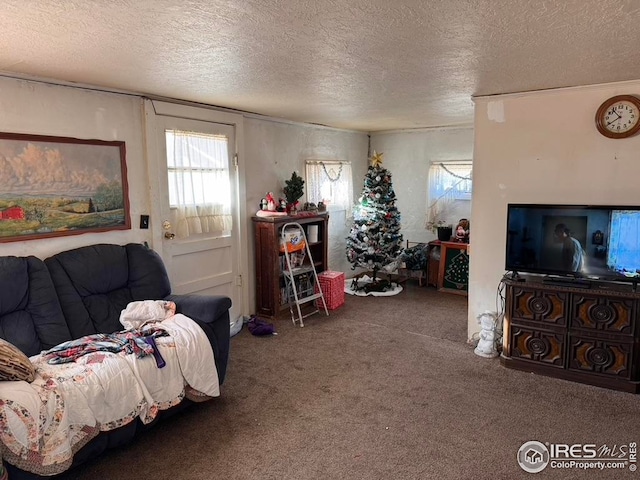living room featuring carpet floors, plenty of natural light, and a textured ceiling