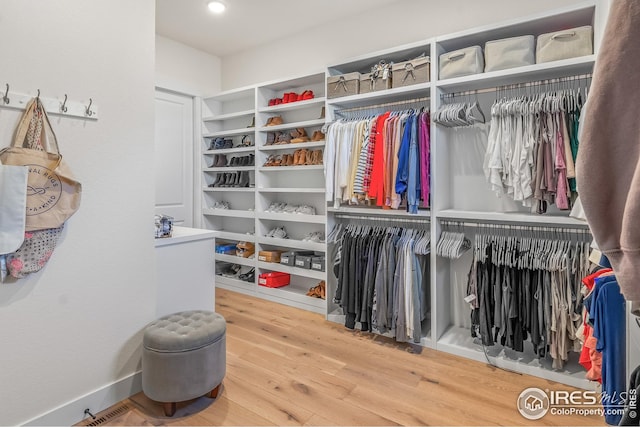 walk in closet featuring wood finished floors