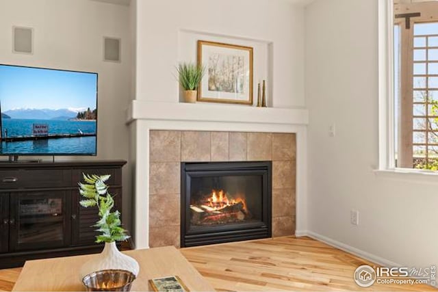 6117 Gold Dust Rd, Timnath, CO 80547 - living area featuring baseboards, a tile fireplace, wood finished floors, and plenty of natural light
