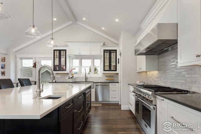 kitchen with plenty of natural light, a sink, extractor fan, and stainless steel appliances