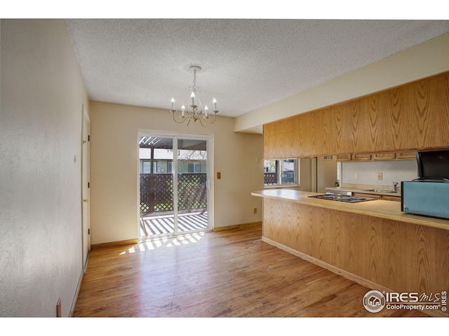 kitchen featuring a sink, black electric stovetop, light wood-style flooring, and a chandelier