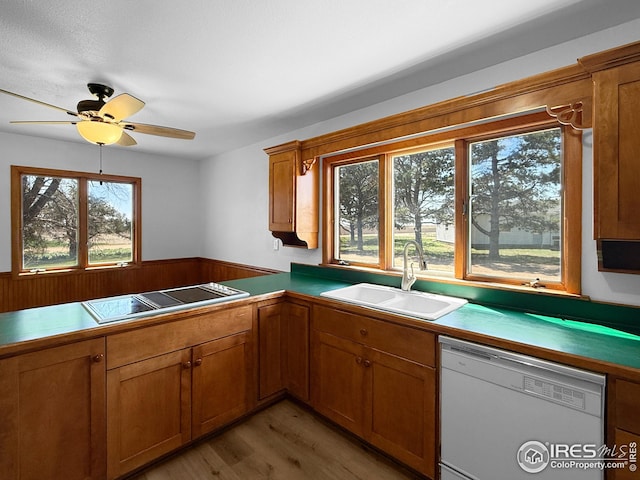 26237 County Road 65, Holyoke, CO 80734 - kitchen featuring white dishwasher, a sink, black electric cooktop, healthy amount of natural light, and a wainscoted wall