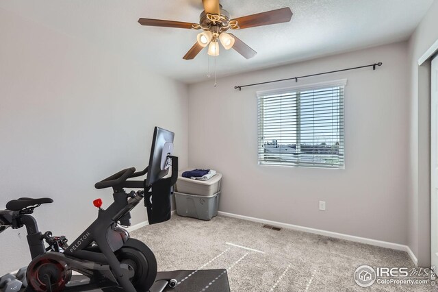 357 Chipman Dr, Windsor, CO 80550 - exercise room with carpet floors, ceiling fan, baseboards, and visible vents