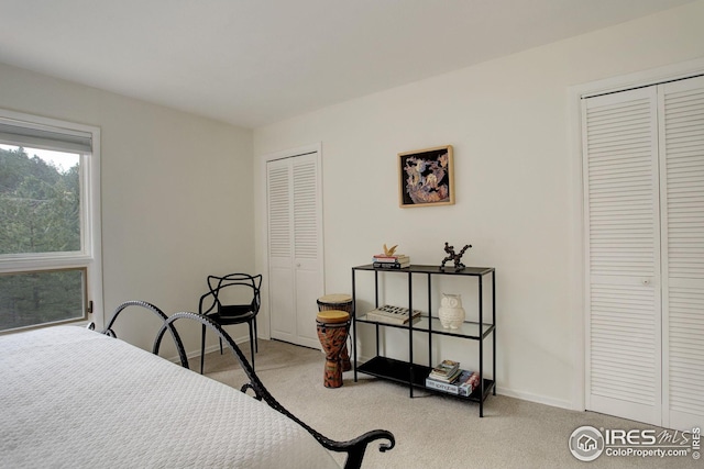 bedroom featuring baseboards, carpet, and multiple closets
