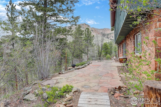 view of yard featuring a patio area and a mountain view