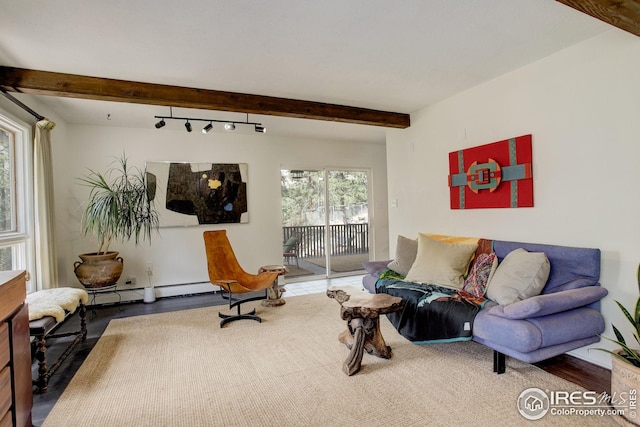 living room with beamed ceiling
