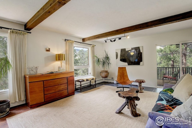 sitting room with plenty of natural light and beam ceiling
