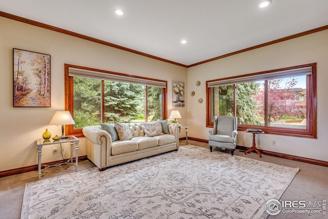 7628 Estate Cir, Niwot, CO 80503 - living room featuring baseboards, ornamental molding, carpet flooring, and recessed lighting
