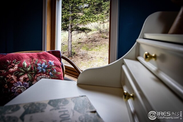 18 Pine St, Jamestown, CO 80455 - detailed view