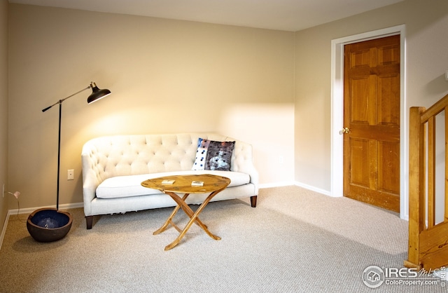 18 Pine St, Jamestown, CO 80455 - living area featuring carpet floors and baseboards