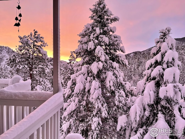 18 Pine St, Jamestown, CO 80455 - view of mountain background