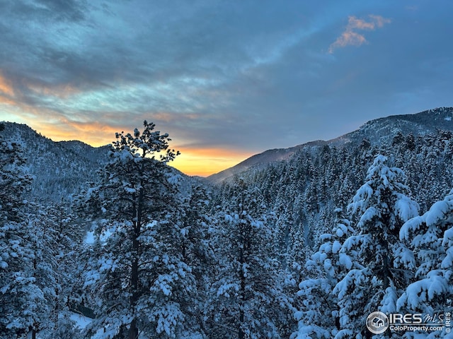 18 Pine St, Jamestown, CO 80455 - view of mountain backdrop